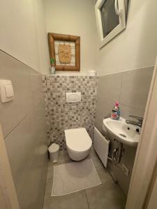a small bathroom with a toilet and a sink at CentrÁlom Apartman in Pécs +29 photos