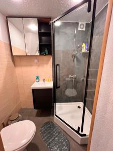 ein Badezimmer mit Dusche, Toilette und Waschbecken in der Unterkunft Kalmāri in Kolka + 10 Fotos