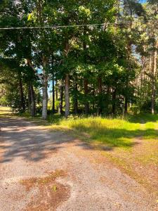 ein Feldweg mit Bäumen am Wegesrand in der Unterkunft Kalmāri in Kolka