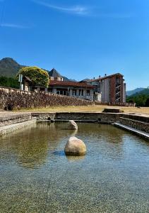 a duck sitting on a rock in the water at Pension As Termas in Bubaces