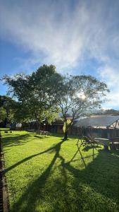 a picnic table in a field with a tree at Rancho Maria Pimenta in Joanópolis +62 photos