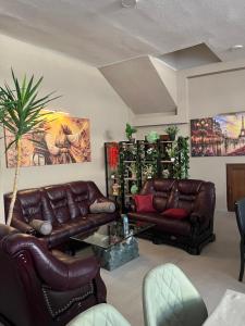 a living room with leather couches and a palm tree at Center Side in Prizren