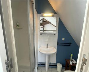a bathroom with a sink and a shower at Gîtes chez julie in Beaucamps-Ligny +18 photos