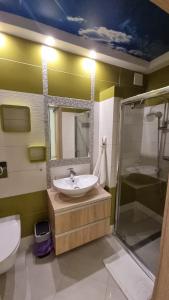 a bathroom with a sink and a shower at Polana Jabłonka in Jabłonka