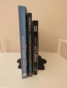 a group of books sitting on a shelf at Apartamento LLAR DEL CARES in Arenas de Cabrales