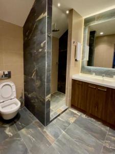 a bathroom with a toilet and a shower and a sink at LUNAS Apartmani 7 in Kopaonik