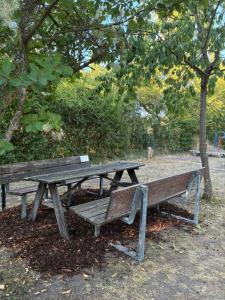a picnic table and bench sitting under a tree at Naturunterkunft Leonberg in Leonberg