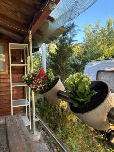 two baskets with plants in them hanging from a porch at Naturunterkunft Leonberg in Leonberg