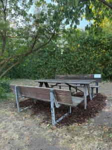 a picnic table and bench sitting under a tree at Naturunterkunft Leonberg in Leonberg