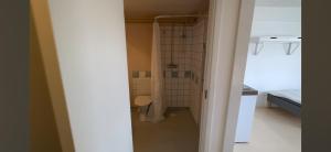 a small bathroom with a toilet in a room at Mangatan 2 in Borlänge