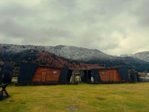 a group of cabins in a field with mountains in the background at La Alea Malalcahuello in Malalcahuello +1 photo