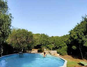 a large swimming pool in the middle of a forest at Tulpa Cádiz in Malcocinado