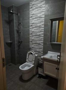 a bathroom with a toilet and a sink at SS Kileleshwa Homes in Nairobi +7 photos