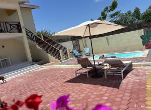 a patio with two chairs and an umbrella next to a pool at sol appartement 3 in Willemstad