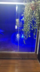 a glass window with a potted plant in a room at Hostel Durães 01 in Londrina