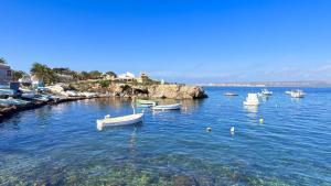 a group of boats in a body of water at Vientos de Tabarca 3 in Tabarca +38 photos