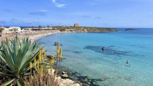 a beach with people swimming in the water at Vientos de Tabarca 3 in Tabarca