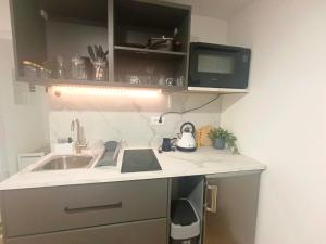 a kitchen counter with a sink and a microwave at VracarHouse in Vračar (historical)