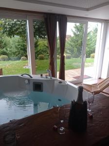 a bath tub with a view of a yard at Haloze ForMe in Zavrč