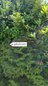 Galeriebild der Unterkunft Gästrum in Halmstad