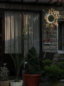 a porch with potted plants in front of a building at SeGi Garden Home in Khobi