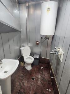 a small bathroom with a toilet and a sink at guest house "BETQIL" adishi in Adishi +22 photos