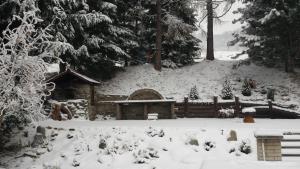リポヴァー・ラーズニェにあるPenzion Vanessaの雪に覆われた塀と木々の庭