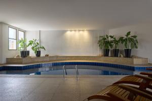 a swimming pool with chairs and plants in a building at Mercure Belo Horizonte Lourdes in Belo Horizonte