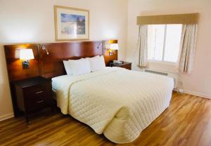 a bedroom with a large bed and a window at Royal Inn Hotel in Royal Palm Beach