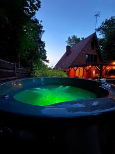 a pool of green water in front of a house at Domek Serpelice 111A in Serpelice
