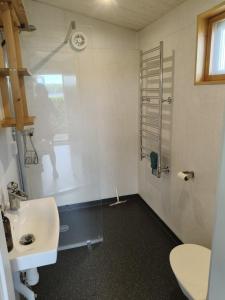 a bathroom with a shower and a sink and a toilet at Attefallshus på Långnäs in Bollnäs