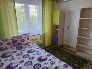 a bedroom with a bed with purple pillows and a window at Cosy accommodation in Dańce