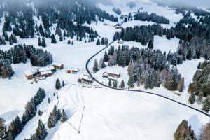 an aerial view of a snow covered mountain with trees at Bed and Breakfast Raschainas Lenzerheide in Sporz