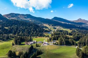 an aerial view of a village in the mountains at Bed and Breakfast Raschainas Lenzerheide in Sporz