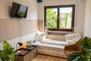 a living room with a couch and a window at Restaurant Hotel Friesdorfer Hof in Bonn