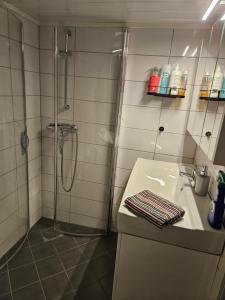 a bathroom with a shower and a sink at Sokkelleilighet rett ved Saltstraumen in Bodø