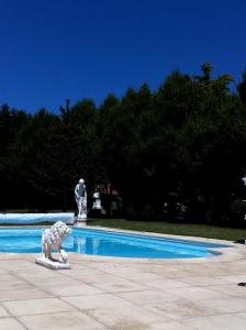 a statue of a dog standing next to a swimming pool at Chateau du Mesnil in La Vieille-Lyre