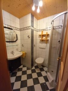 a bathroom with a shower and a toilet and a sink at Bad Kalkstein in Innervillgraten
