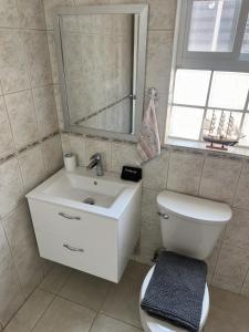 a bathroom with a toilet and a sink and a mirror at Paradise Nest in Oranjestad +14 photos