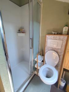 a small bathroom with a toilet and a shower at Loft in a quiet condominium in Vitry-sur-Seine +3 photos