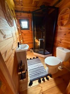 a bathroom with a shower and a toilet and a sink at Miły zakątek in Silice