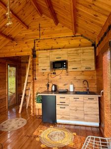 a kitchen in a wooden cabin with a stove at Miły zakątek in Silice