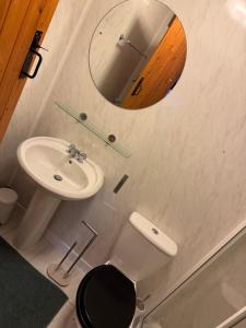 a bathroom with a sink and a toilet and a mirror at The Loft in Nantgaredig