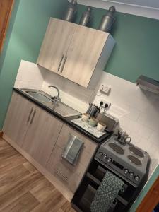 a small kitchen with a stove and a sink at The Loft in Nantgaredig