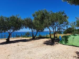 a green tent on the beach with trees at Relax Camp Pitches in Pakoštane