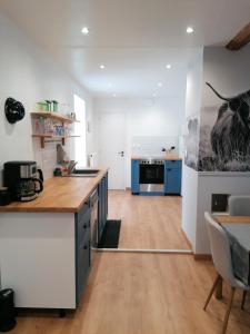 a large kitchen with blue cabinets and a counter top at Nids des cigognes in Furchhausen