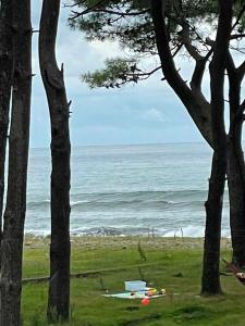 a view of the ocean from between two trees at Blue Horizon in Grigoleti