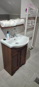 a bathroom with a sink and a towel rack at Lopofa in Lunca de Sus +18 photos