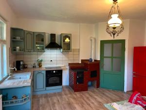 a kitchen with blue cabinets and a green door at La Nea Traian in Vama Buzăului