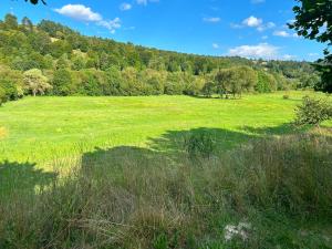 a large green field with trees in the background at La Nea Traian in Vama Buzăului +1 photo